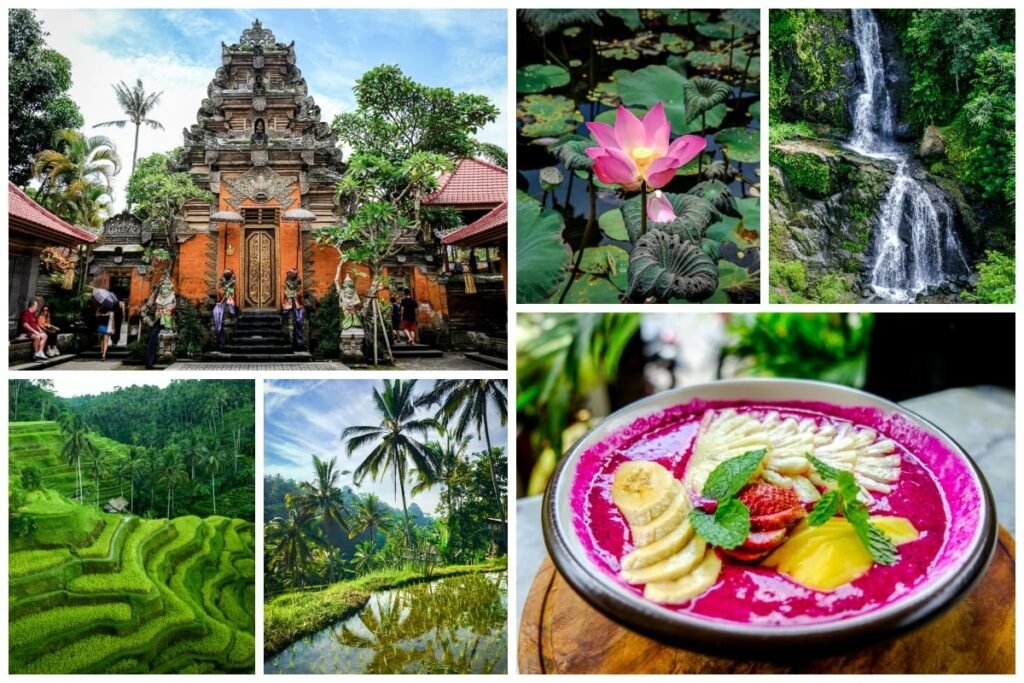 Ubud Bali Travel Guide: 31 Best Things To Do